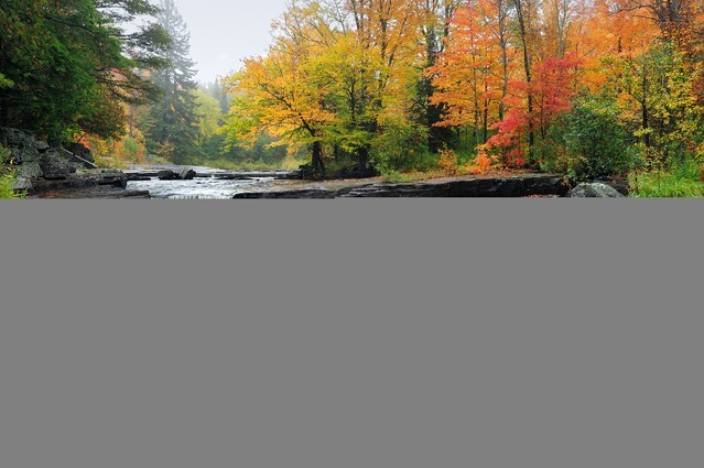 Canyon Falls, brilliant Autumn colors at the sturgeon river near Alberta, Michigan USA